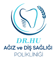 Dr.hu Logo